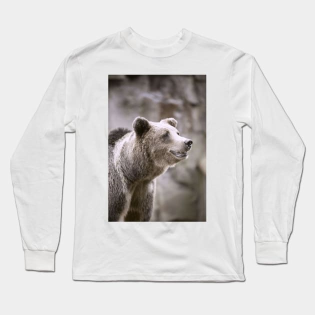 Bear Brown European Long Sleeve T-Shirt by HannahStormf